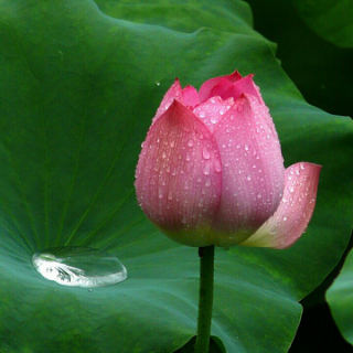 清水蓝天