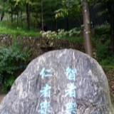 gluss