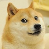 阿同木