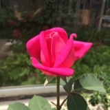 实景拍客oo