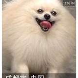 墨友 36279508