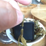 导航去来今古树普洱标准库