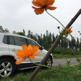 三里吞在