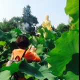 洋麻麻嘛