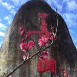 半是怀旧半是新