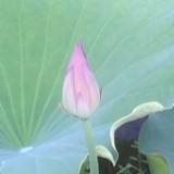 涓涓