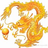 飞龙
