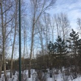 简单爱 逆风飞舞