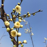 婉若清风墨友37696022