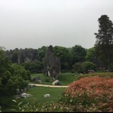 针尖锐