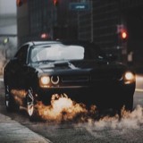 落叶纷飞