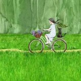 Dream