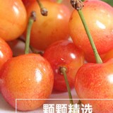 《依山傍海》