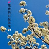成功伴你我Scj