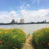 小老虎228
