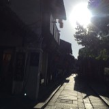 沙洲一尘埃