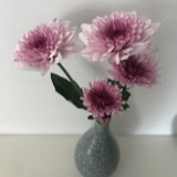 花溅泪116