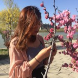 桃花开出好运来^_^
