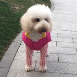 墨友31622082乐宝