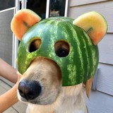 慢