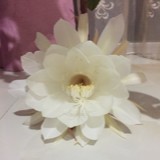 透明白水泉:阿财: