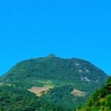 沈先友