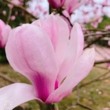 上前一步是幸福