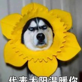 代表月亮消灭你