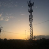 caopd