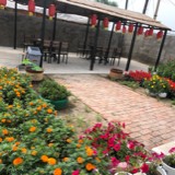 五家站农家小院