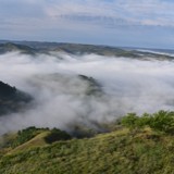 朱玉峰